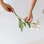 Flower Cutting DIY